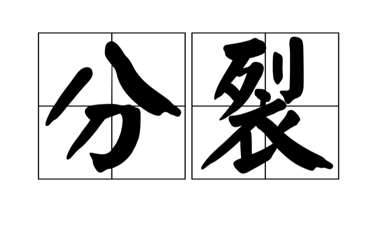 分裂(汉语词语)