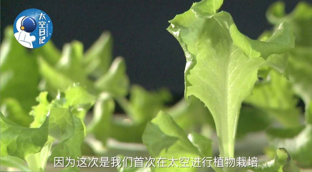 合肥高新区太空科技研究中心 合肥高新区太空科技研究中心