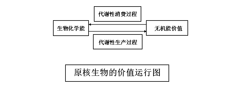 原核趋性情感 原核趋性情感