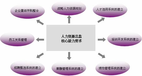 人力资源总监-----角色定位 人力资源总监-----角色定位