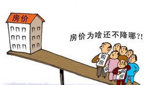 房虫 房虫