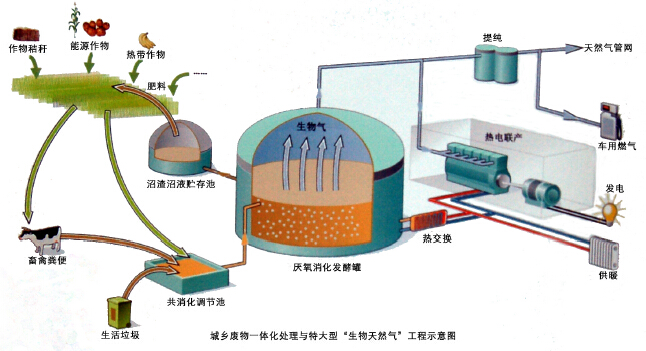 生物质燃气 生物质燃气
