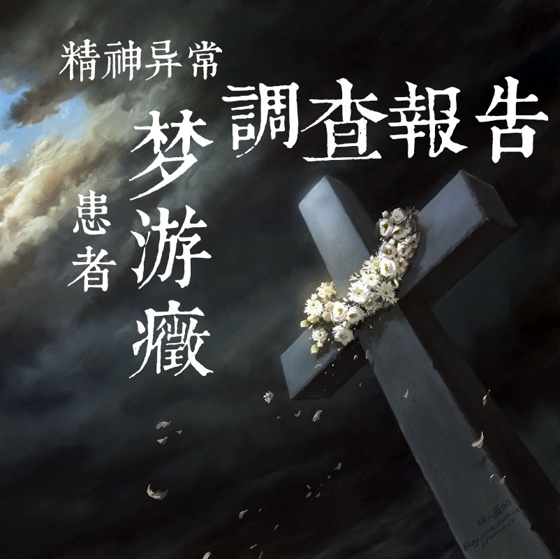 梦游症调查报告(小说作品)