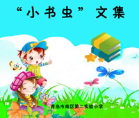 《“小书虫”文集》封面 《“小书虫”文集》封面