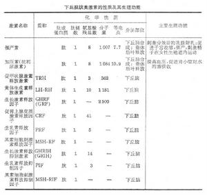 下丘脑-垂体系统 下丘脑-垂体系统