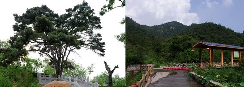 山山叶口景区 山山叶口景区