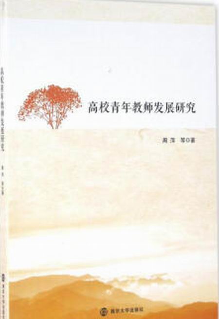 高校青年教师发展研究