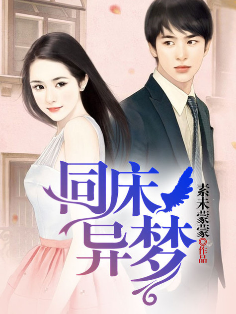 同床异梦(素未蒙蒙首发于天涯文学的小说)
