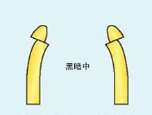 拜耳的实验示意图 拜耳的实验示意图
