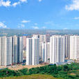 李渡管委会