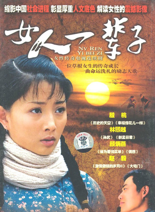 颜丙燕