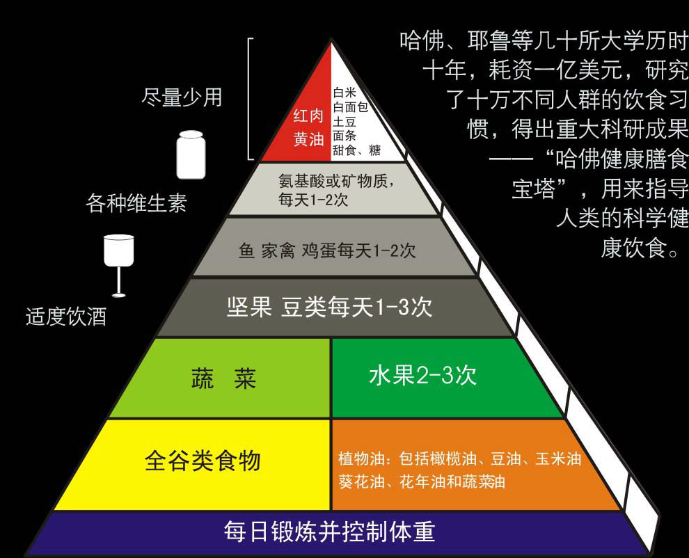 哈佛膳食宝塔 哈佛膳食宝塔