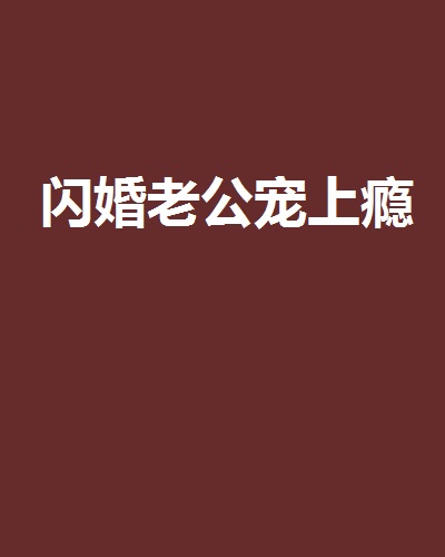 闪婚老公宠上瘾