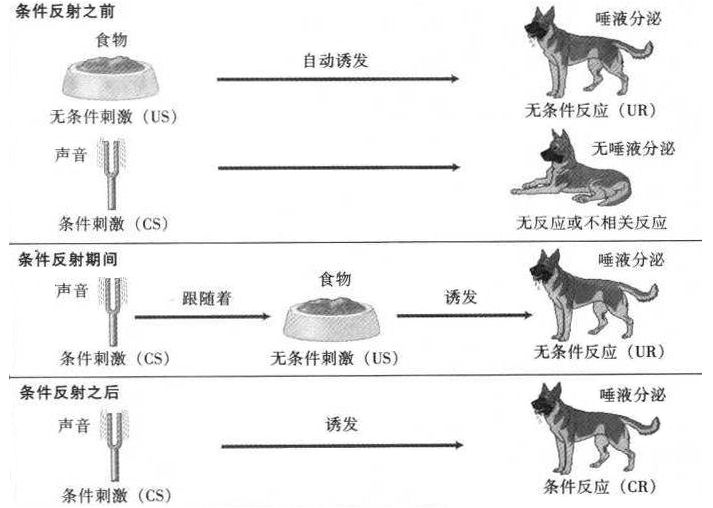痕迹反射