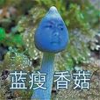 蓝瘦，香菇