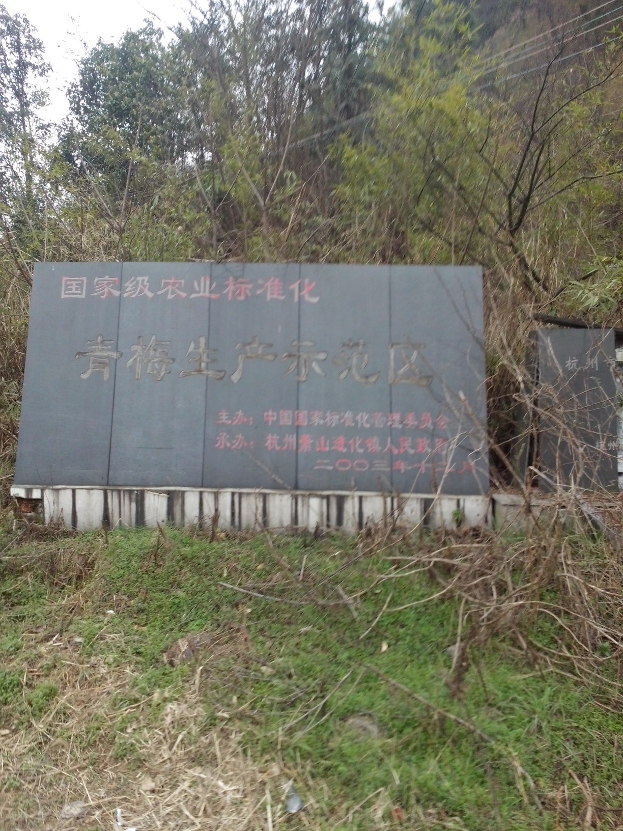 青梅生产示範区 青梅生产示範区