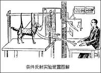 条件反射的抑制 条件反射的抑制