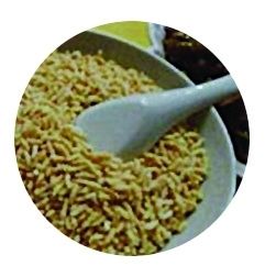 春潮涌动 春潮涌动