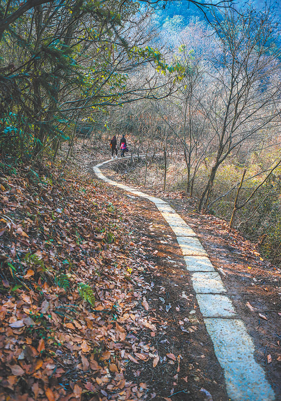 桃岭古道 桃岭古道