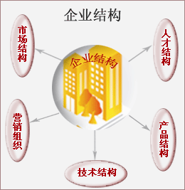 经营结构战略 经营结构战略