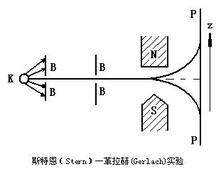 自旋 自旋