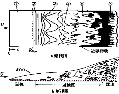 图3 平板上层流边界层过渡过程 图3 平板上层流边界层过渡过程