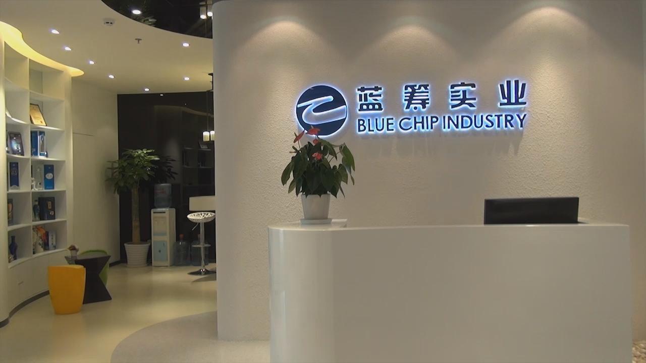 蓝筹公司