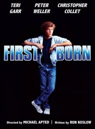 小罗伯特·唐尼(罗伯特·唐尼（Robert Downey Jr.）)