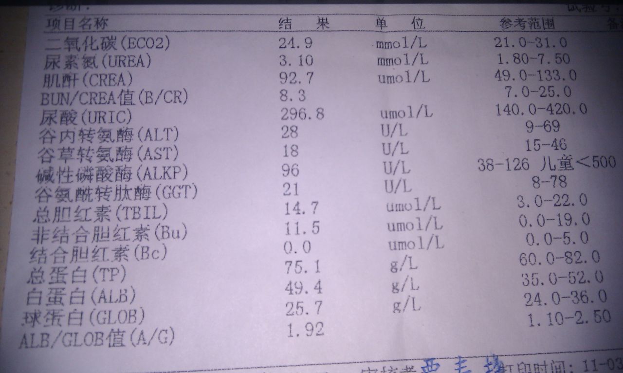血肌酐