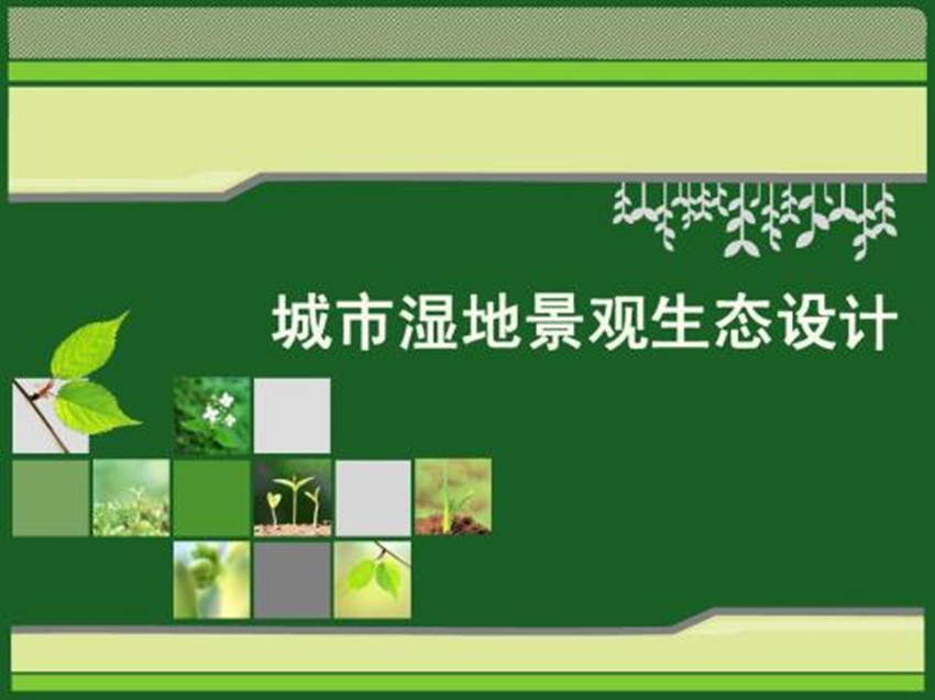 湿地景观生态分类
