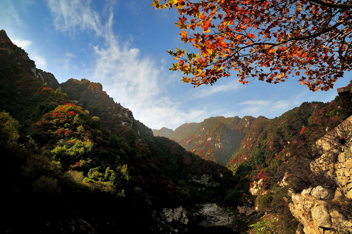 秦岭 秦岭