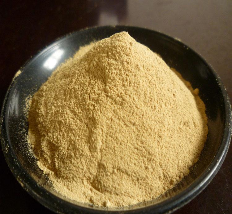 生物饲料菌种