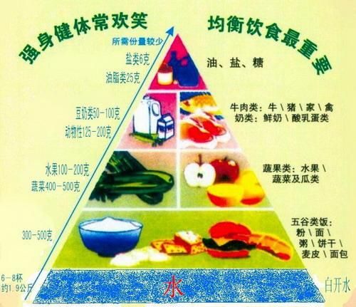 膳食宝塔 膳食宝塔