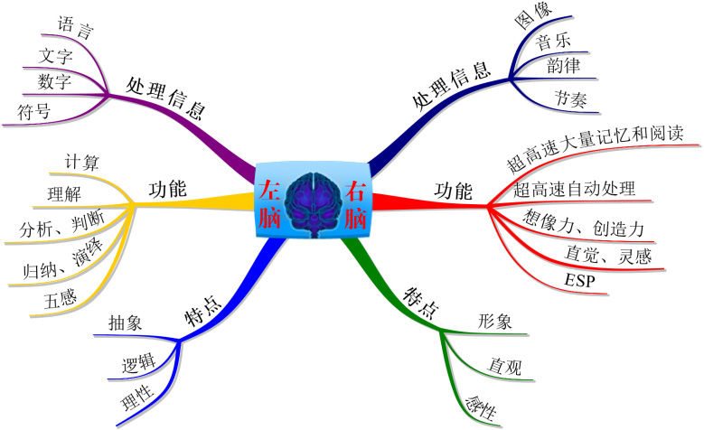 斯佩里左右脑分工理论