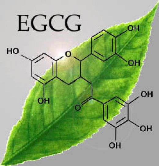抗氧化剂