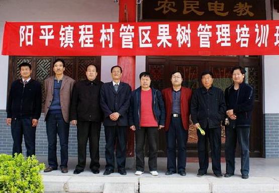 阳平镇 阳平镇