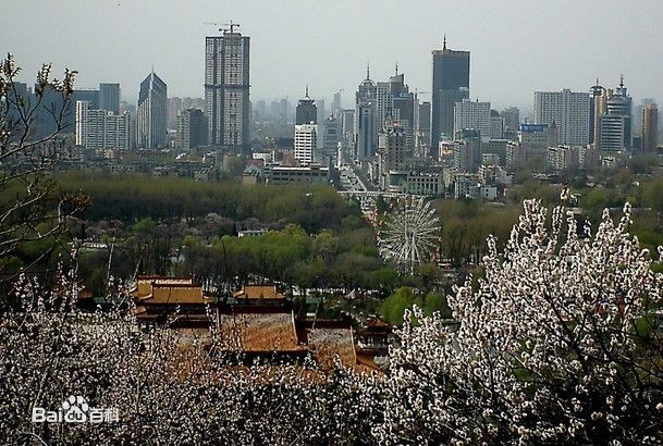 鞍山市 鞍山市