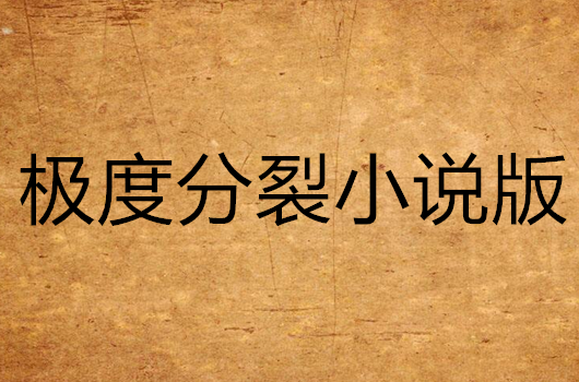 极度分裂小说版
