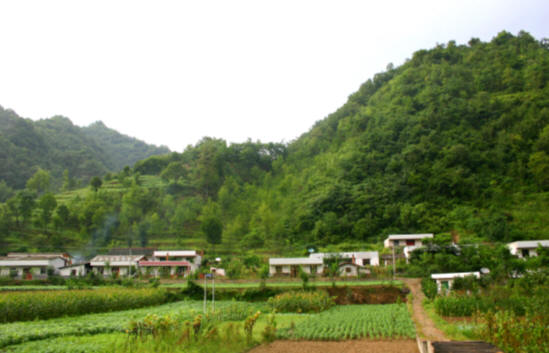 金家河镇