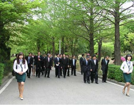 又松大学 又松大学