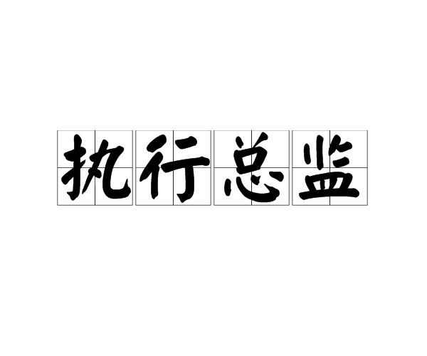 执行总监