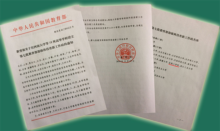 档案(汉语词语)