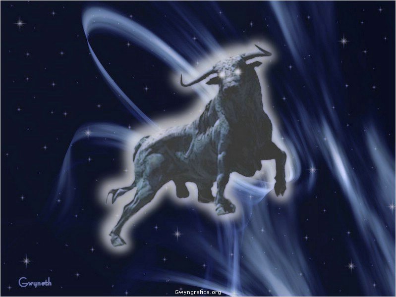 Taurus(十二星座之一)