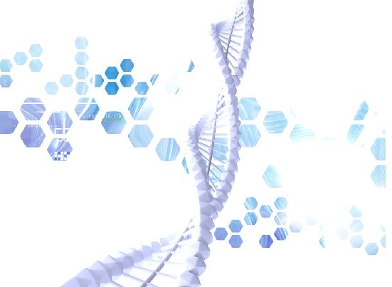 分子诊断
