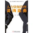 人力资源管理谘询实务
