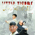 小小飞虎队(2011年赵泽文主演电视剧)