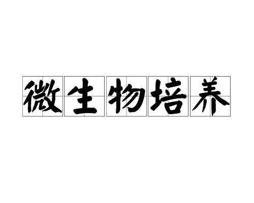 微生物培养
