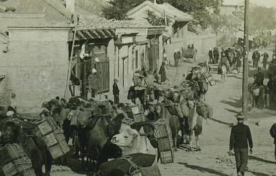1905年东交民巷骆驼运输队 1905年东交民巷骆驼运输队