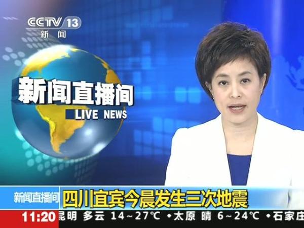 报导 报导