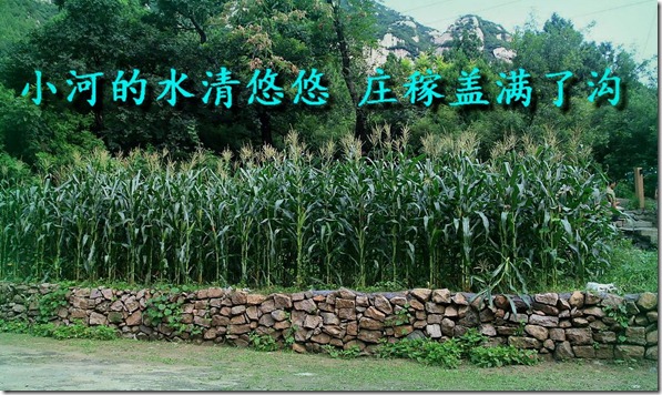 战海乡 战海乡